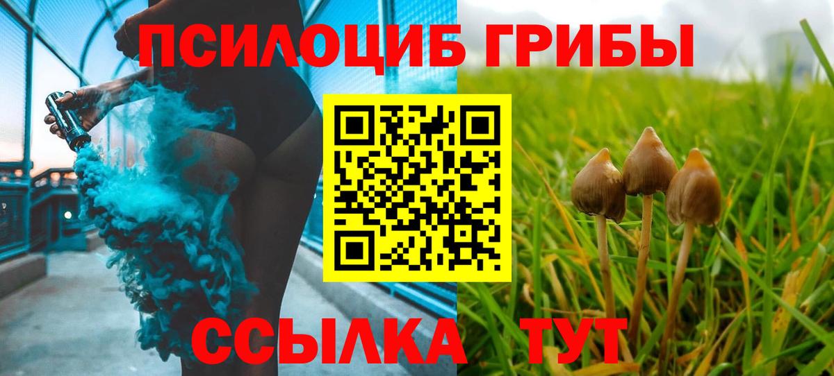 Галлюциногенные грибы мухоморы  купить наркотики цена  Пугачёв  Псилоцибиновые грибы прущие грибы  Вход с VPN 